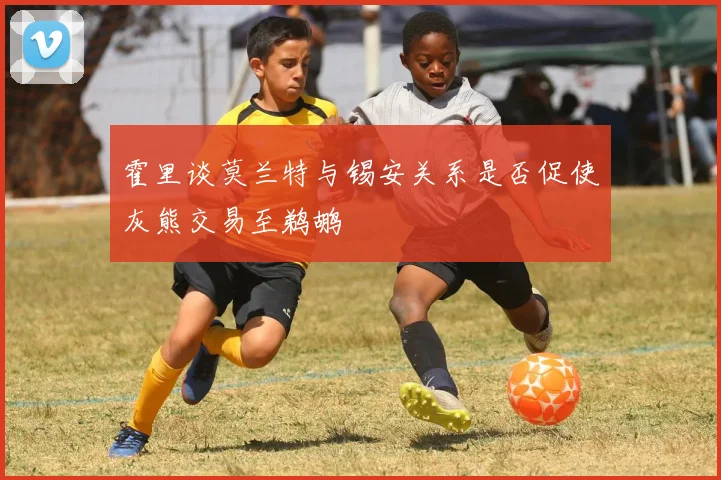 霍里谈莫兰特与锡安关系是否促使灰熊交易至鹈鹕